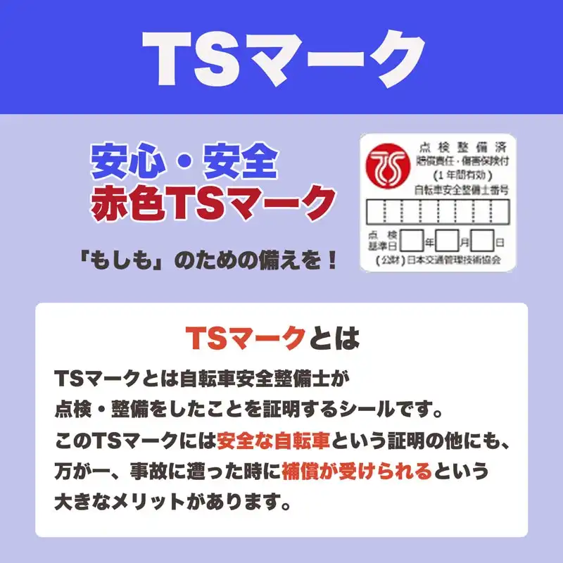 TSマーク1