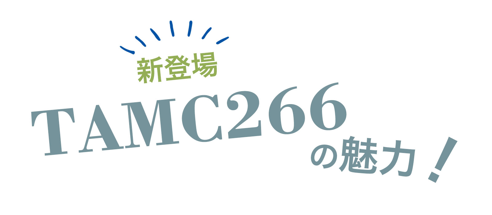 TAMC266の魅力